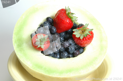 Image of honeydew with fruit 5