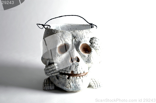 Image of skull