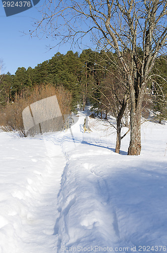 Image of Landscape