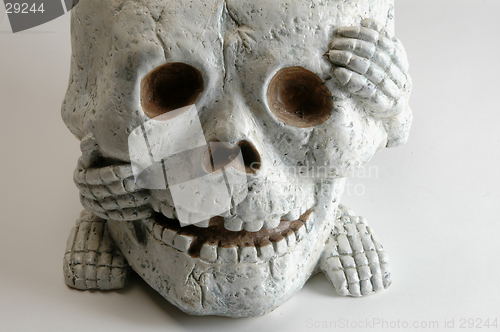 Image of halloween skull