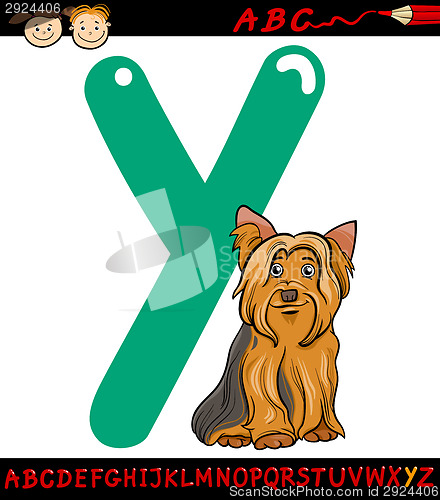 Image of letter y for yorkshire terrier dog