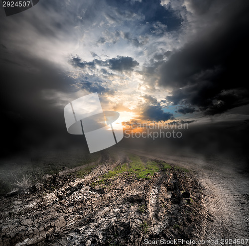 Image of Fog over country road