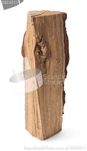 Image of Standing stump