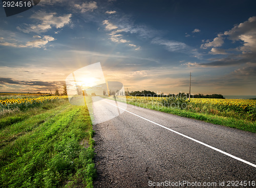 Image of Asphalted highway