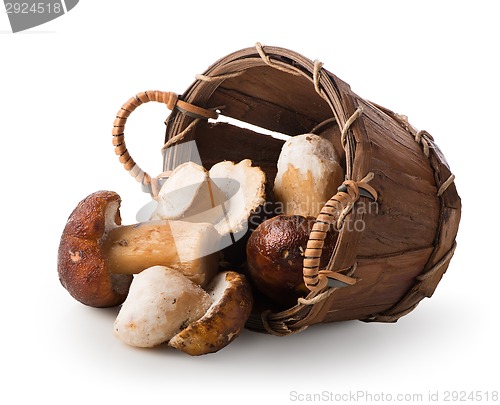Image of Mushrooms in a basket