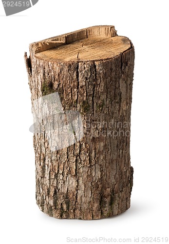 Image of Big stump