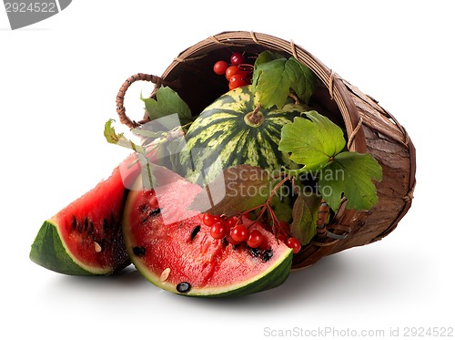 Image of Watermelon and guelder