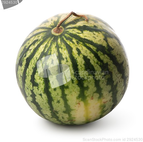 Image of Watermelon