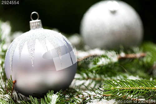 Image of Silver Christmas ornaments in leaves