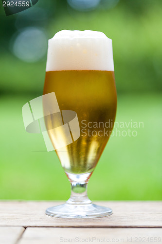 Image of Elegant glass of cold refreshing beer