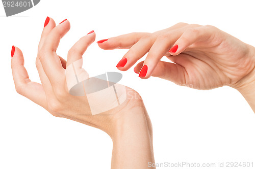 Image of Woman with beautiful manicured red fingernails
