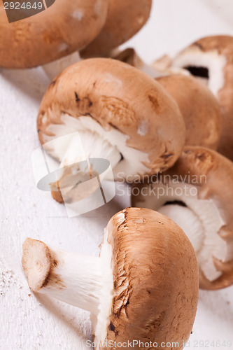 Image of Fresh brown portobello or agaricus mushrooms