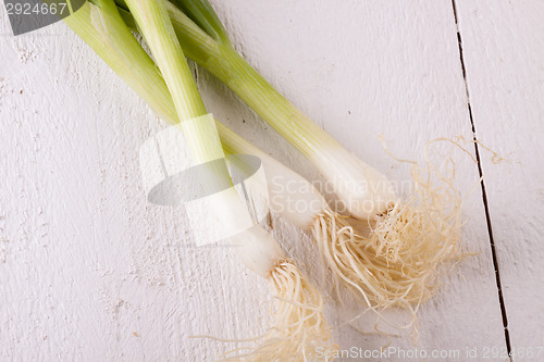 Image of Bunch of fresh leeks or scallions