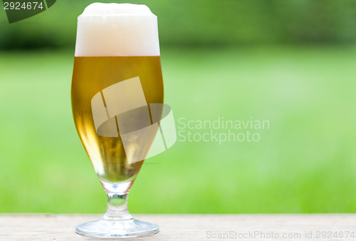 Image of Elegant glass of cold refreshing beer