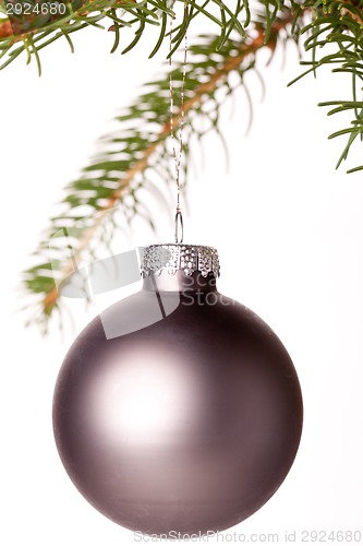 Image of Christmas ball hanging from a branch of a fir tree