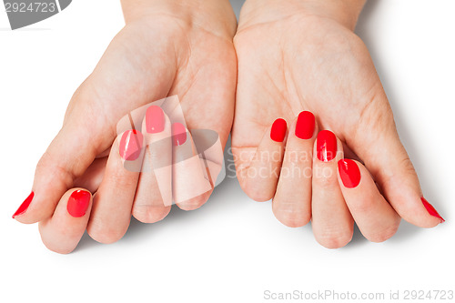 Image of Woman with beautiful manicured red fingernails