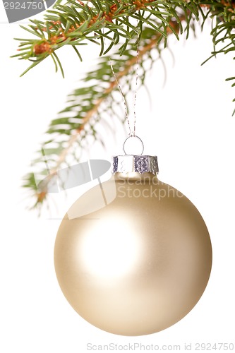 Image of Christmas ball hanging from a branch of a fir tree