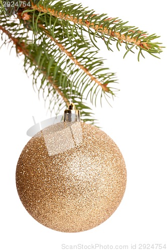 Image of Christmas ball hanging from a branch of a fir tree