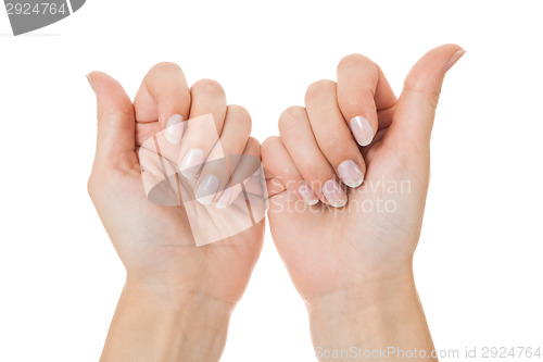 Image of Sensual female hands isolated on white