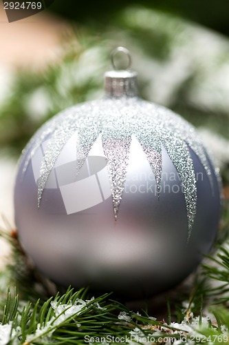 Image of Silver Christmas ornaments in leaves