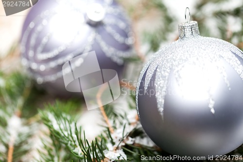 Image of Silver Christmas ornaments in leaves