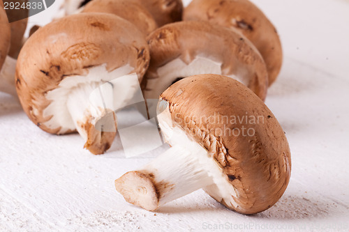 Image of Fresh brown portobello or agaricus mushrooms