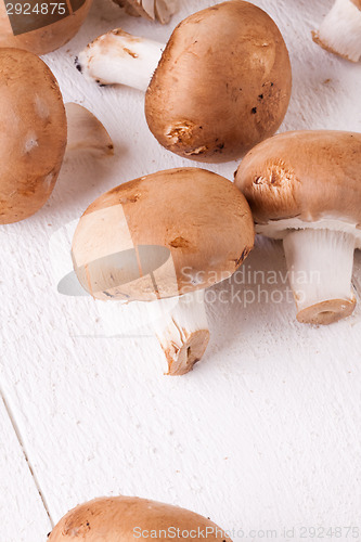Image of Fresh brown portobello or agaricus mushrooms