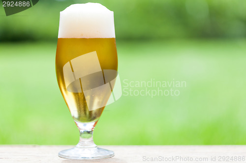 Image of Elegant glass of cold refreshing beer