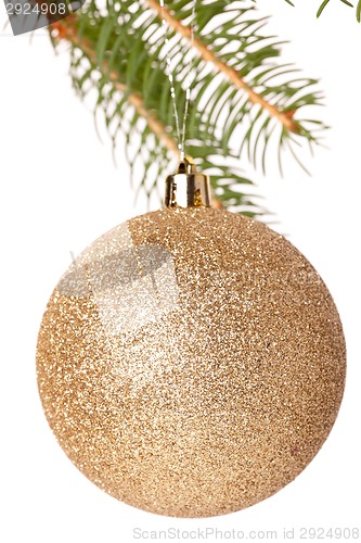 Image of Christmas ball hanging from a branch of a fir tree