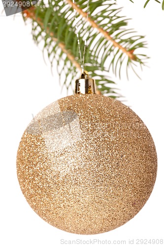 Image of Christmas ball hanging from a branch of a fir tree