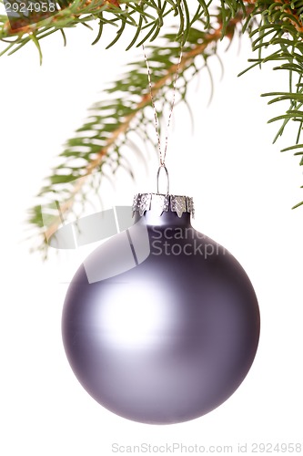 Image of Christmas ball hanging from a branch of a fir tree