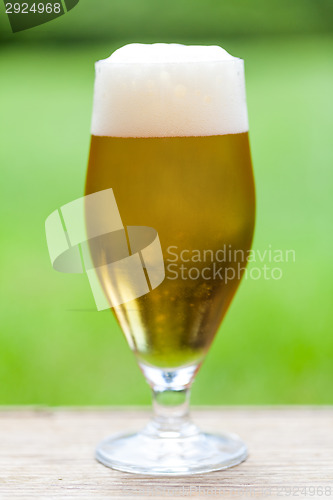 Image of Elegant glass of cold refreshing beer