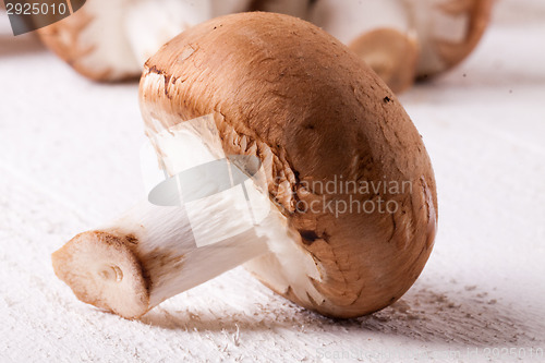 Image of Fresh brown portobello or agaricus mushrooms