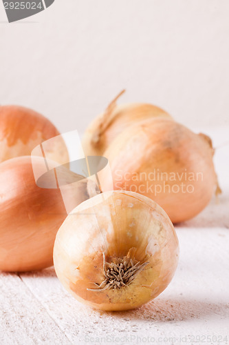 Image of Small fresh brown onions