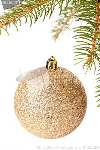 Image of Christmas ball hanging from a branch of a fir tree