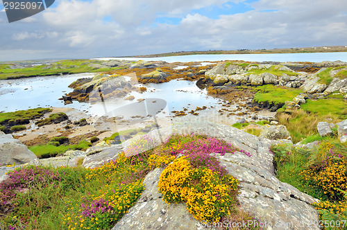 Image of ireland landscape hdr