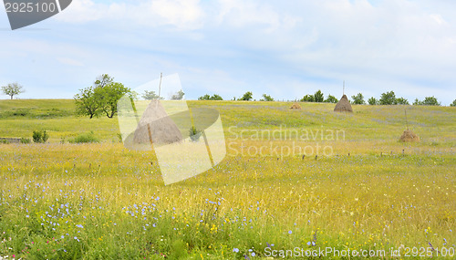 Image of A stack of hay in Maramure?, Romania