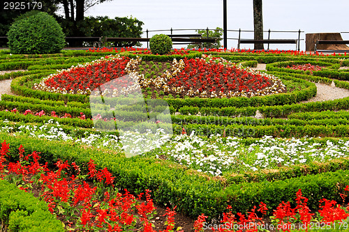 Image of Opatija flowers park