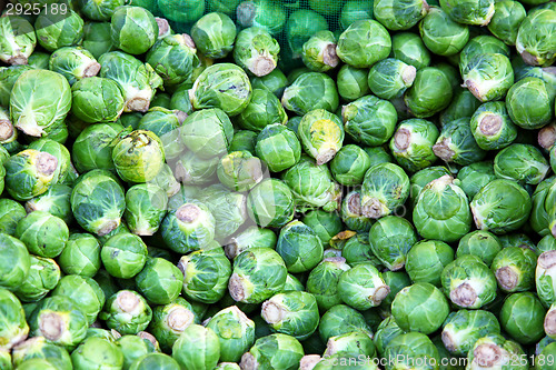 Image of Brussel sprouts