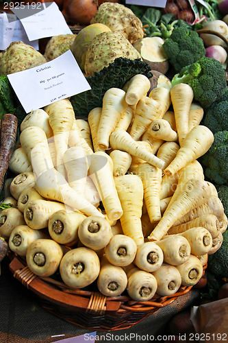 Image of Parsnip