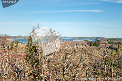 Image of Spring