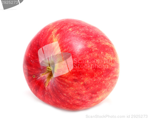 Image of Red apple