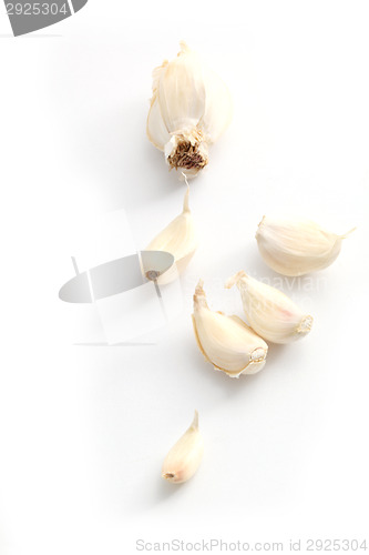 Image of garlic