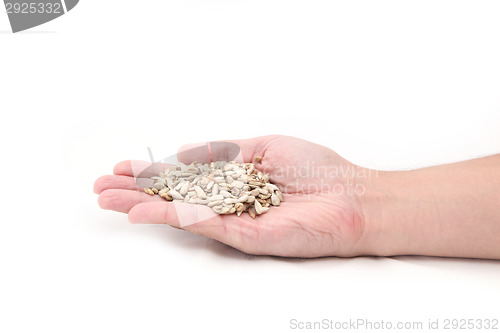 Image of sunflower seeds on hand