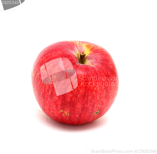 Image of Red apple