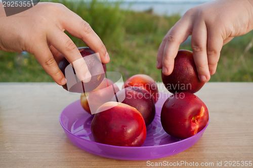 Image of Taking a fruit nectarine