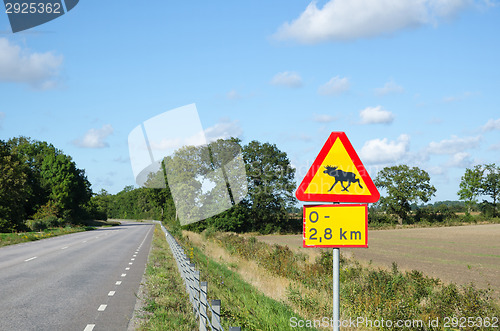 Image of Moose warning roadsign