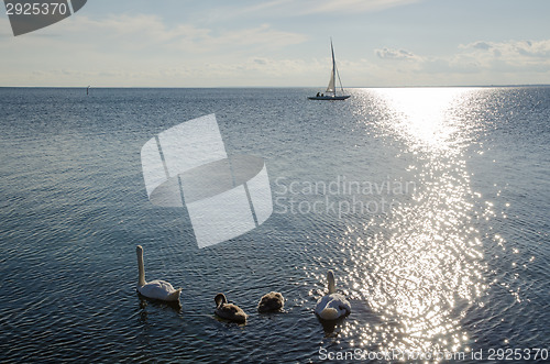 Image of Summer by the coast