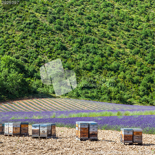 Image of Beehive close to lavander field