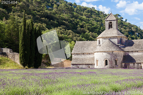 Image of Lavander field